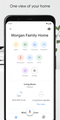 Google Home Screenshot #0