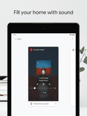 Google Home Screenshot #9