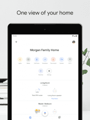 Google Home Screenshot #1