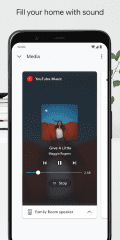 Google Home Screenshot #4