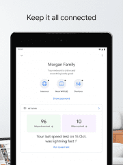 Google Home Screenshot #8