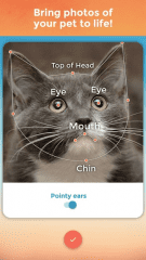 My Talking Pet Screenshot #0