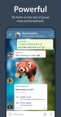 Telegram Screenshot #7