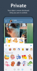 Telegram Screenshot #8
